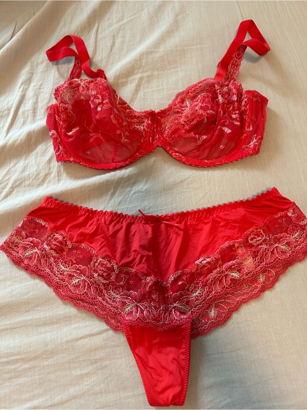 Prima Donna Vibrant Pinky Red Embroidered Underwire Bra & Lace Briefs